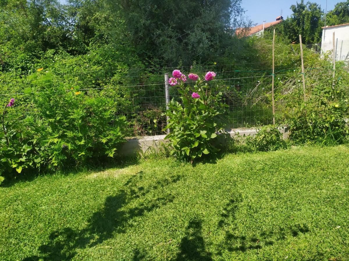 Ioannis Seaside Villa Leptokaria Zewnętrze zdjęcie