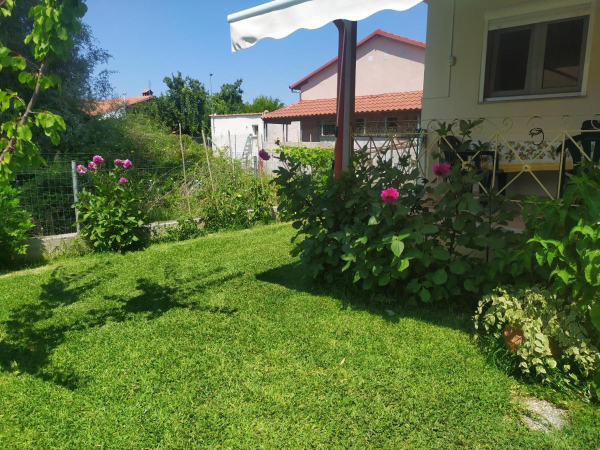 Ioannis Seaside Villa Leptokaria Zewnętrze zdjęcie